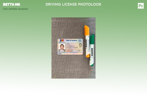 Модерен стил Moldova DL photolook FRONT шаблон